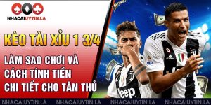tài xỉu 1 3/4