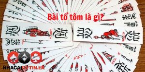 Bài tổ tôm có nghĩa là gì?
