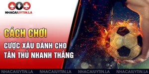 Cách chơi cược xâu dành cho tân thủ nhanh thắng