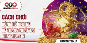 Cách Chơi Rồng Hổ Online Dễ Thắng Nhất Tại Nhacaiuytin