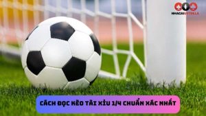 Tài xỉu 1/4  là gì? Cách đọc kèo tài xỉu 1/4 chuẩn xác nhất